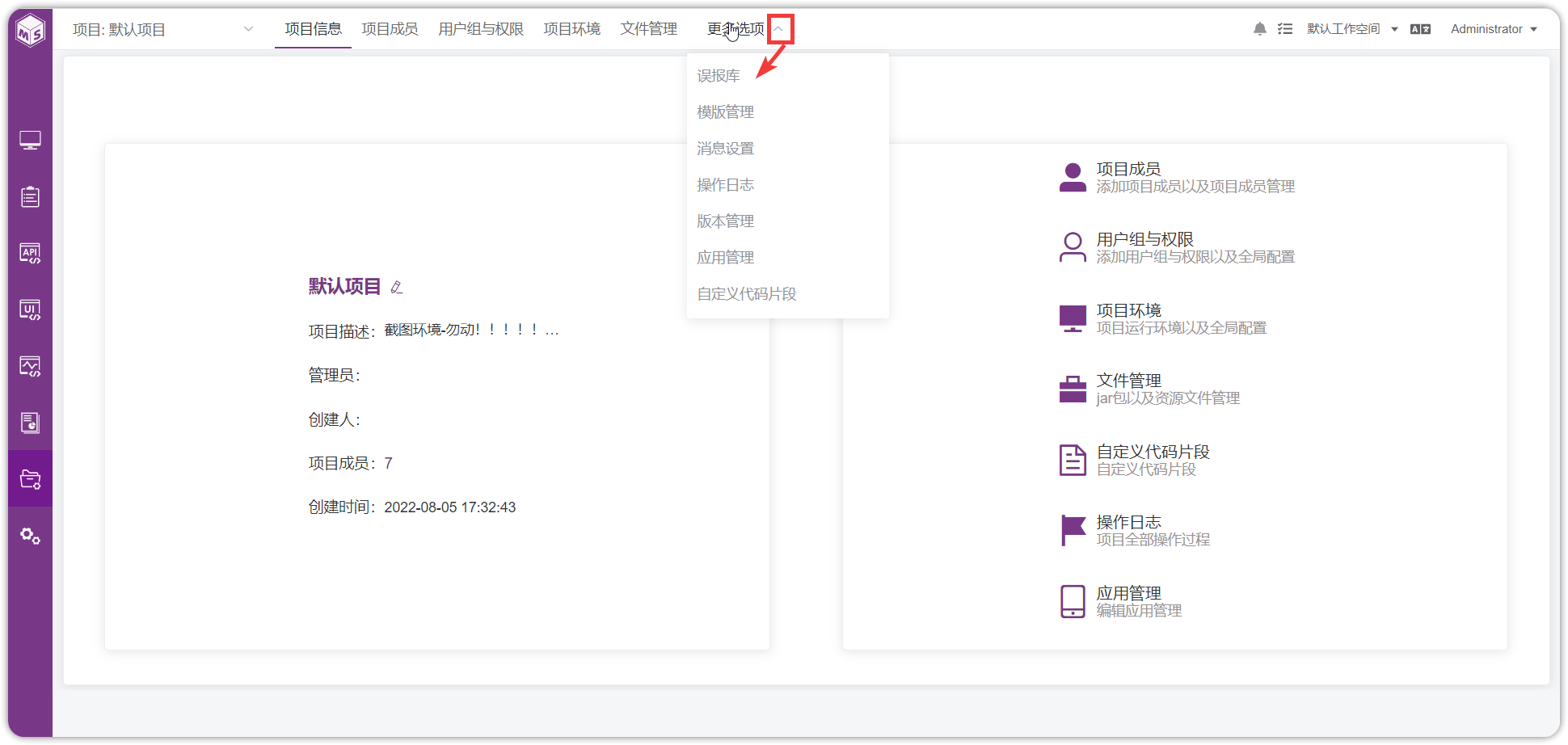 项目信息系
